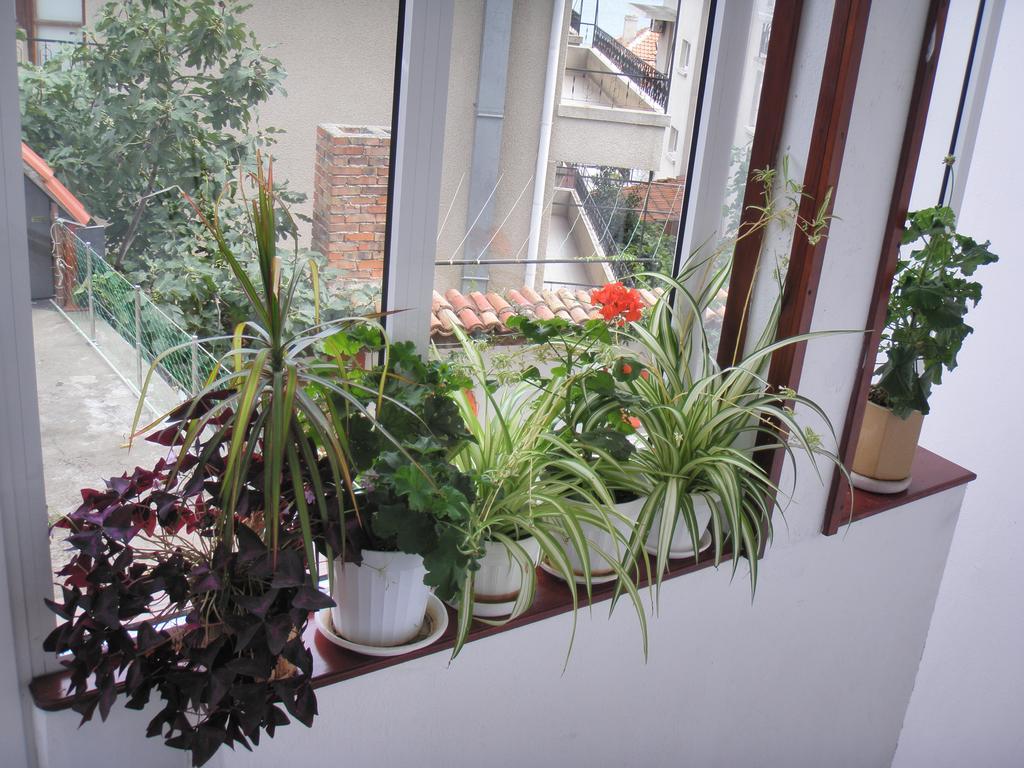 House Prodanovi Sozopol Ngoại thất bức ảnh